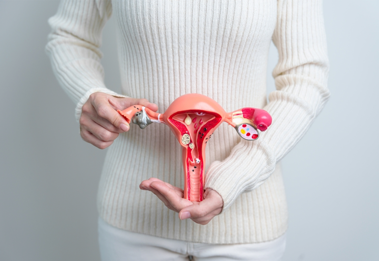 Ginecologia - Urologia Eliseu Denadai - Clínica de Urologia em São José do Rio Preto/SP