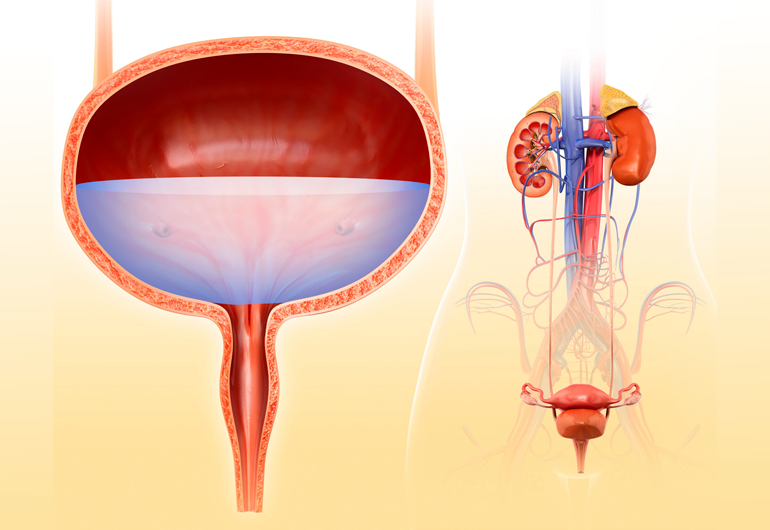 Urodinâmica - Urologia Eliseu Denadai - Clínica de Urologia em São José do Rio Preto/SP